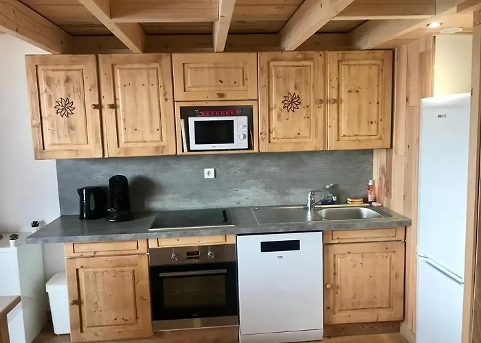 Au Pied * Les Deux Alpes